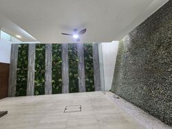 Cairnhill Road (D9), Terrace #446535761